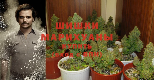 прущая мука Сосновоборск