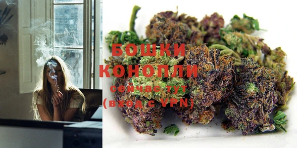прущие крисы Богородицк